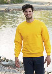 Klassisk insättningssweatshirt (62-202-0)